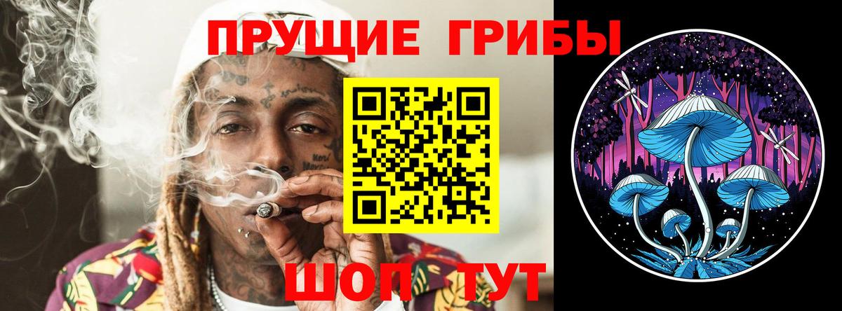Псилоцибиновые грибы GOLDEN TEACHER Жуковский
