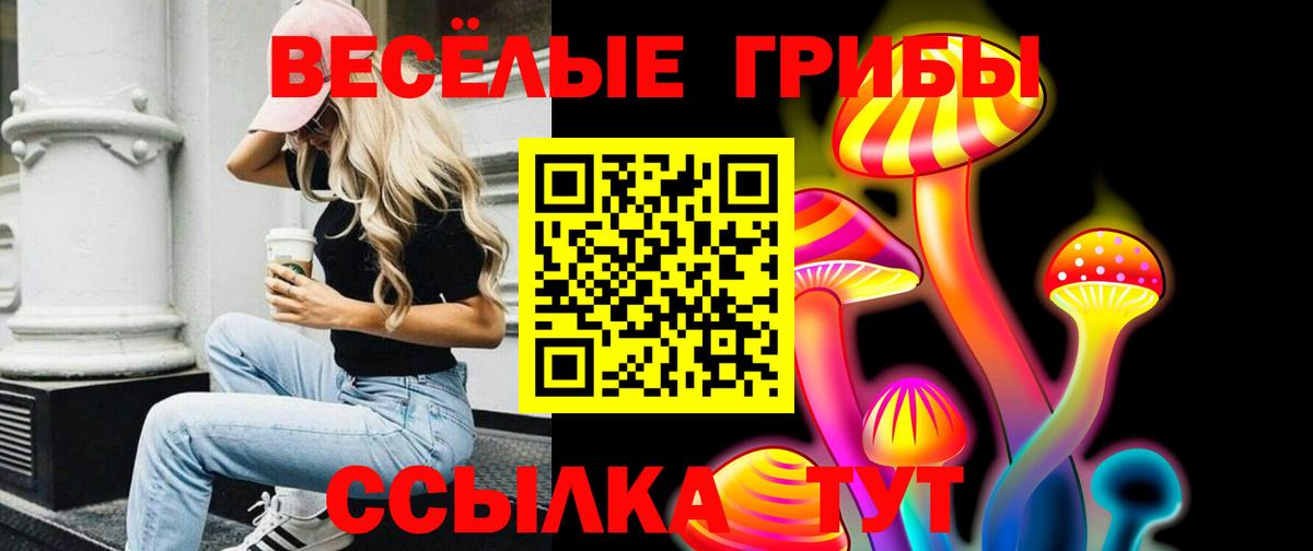 Псилоцибиновые грибы мицелий  Вход с VPN  Жуковский 